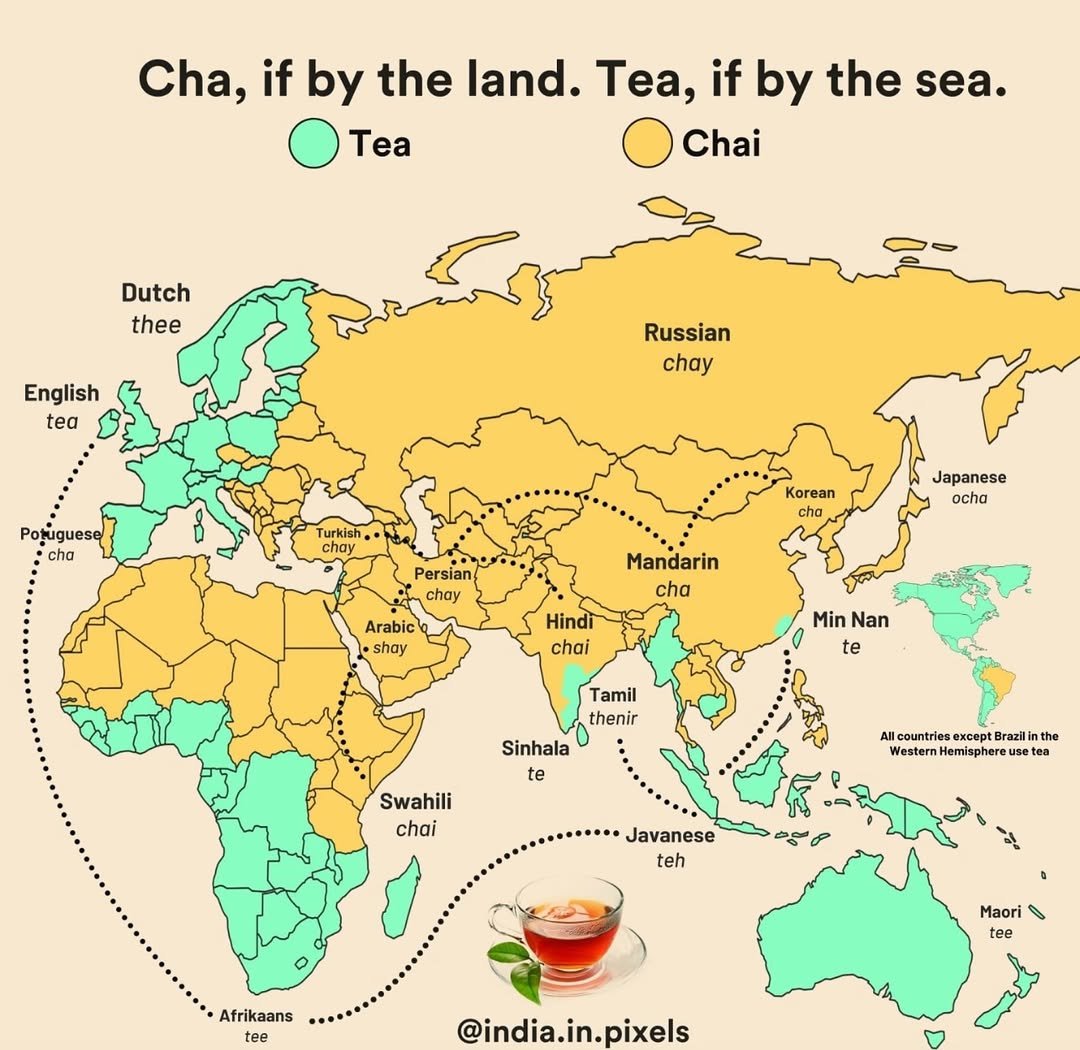 鳥飼うなう tweet media