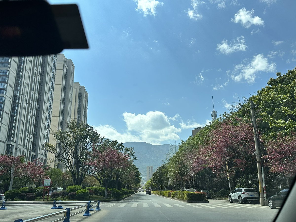 平平淡淡 tweet media