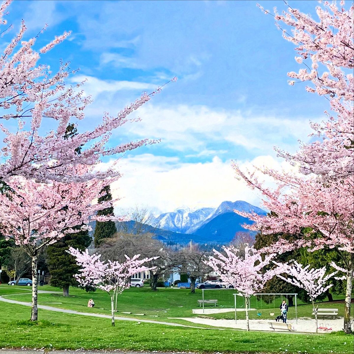 Hutchyman tweet media