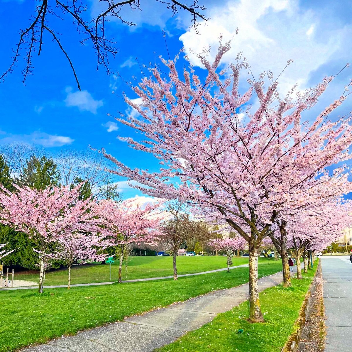 Hutchyman tweet media