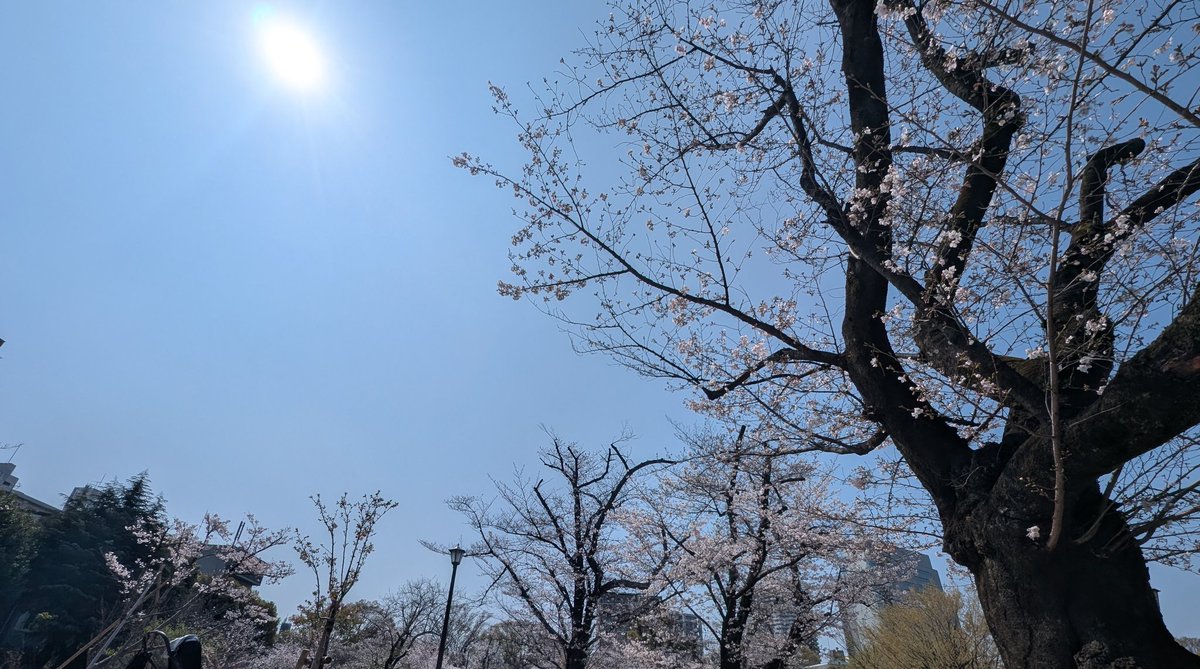 スイカ tweet media