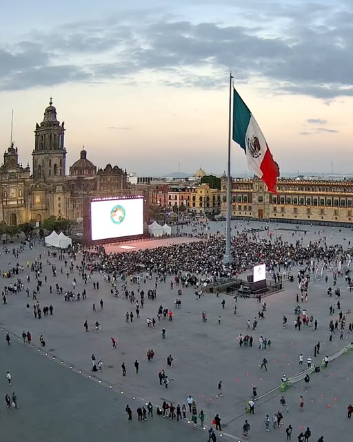 DRA. MERCEDES PAVON "SUPERMUELITA FIFÍ" tweet media