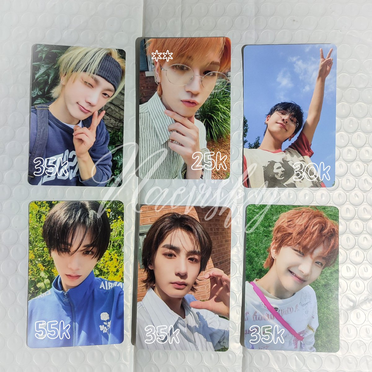 lin🦋🐢 tweet media