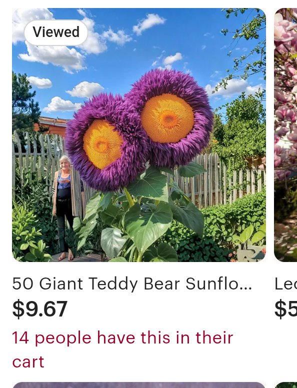 Michael Sanislo tweet media