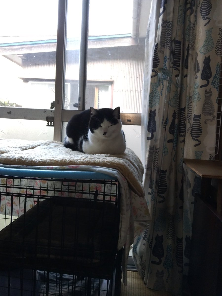 北川国彦 tweet media