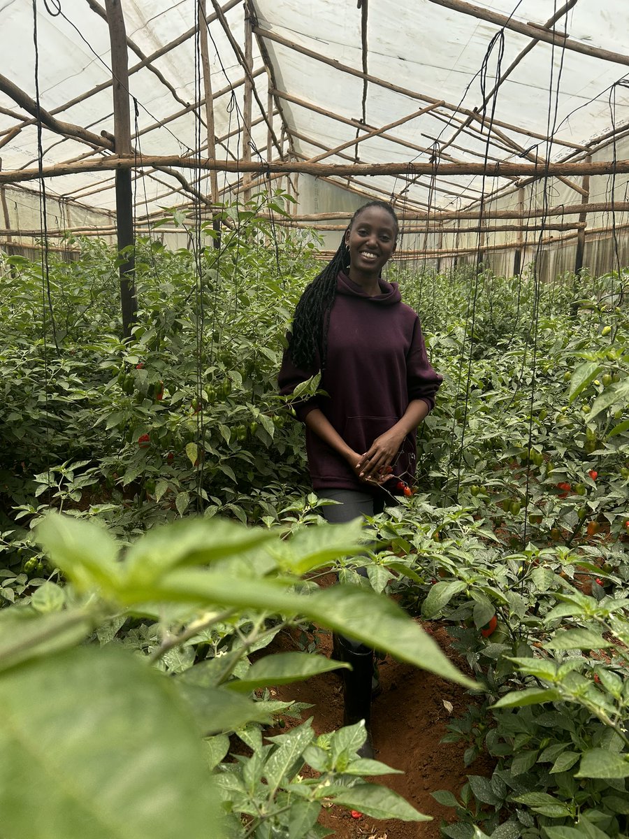 AgriShoot's tweet image. Wishing you all a #blessed and #peaceful Sunday.