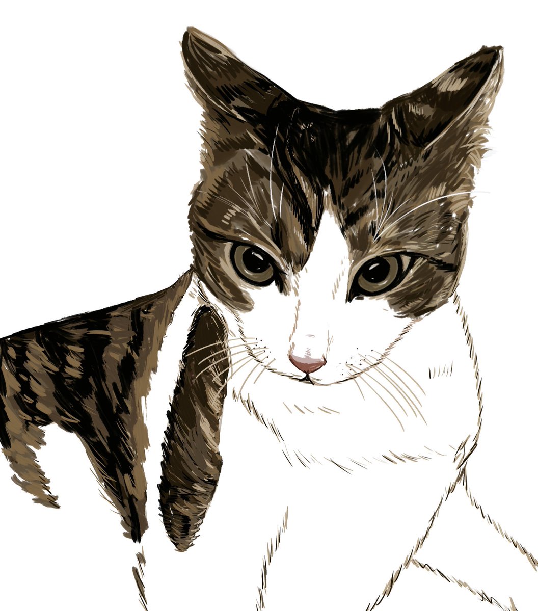 goose🪿 tweet media