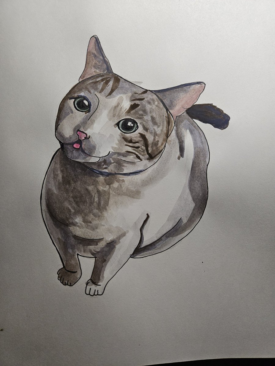 goose🪿 tweet media