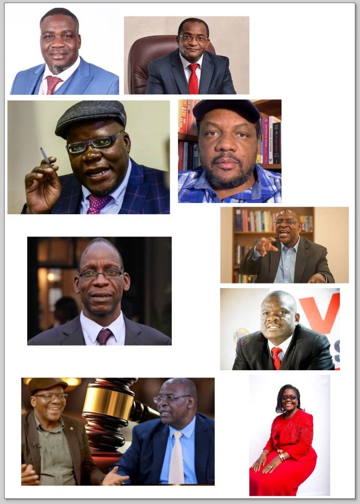 NZOU 🐘🇦🇺🦘🇿🇼🦅 tweet media