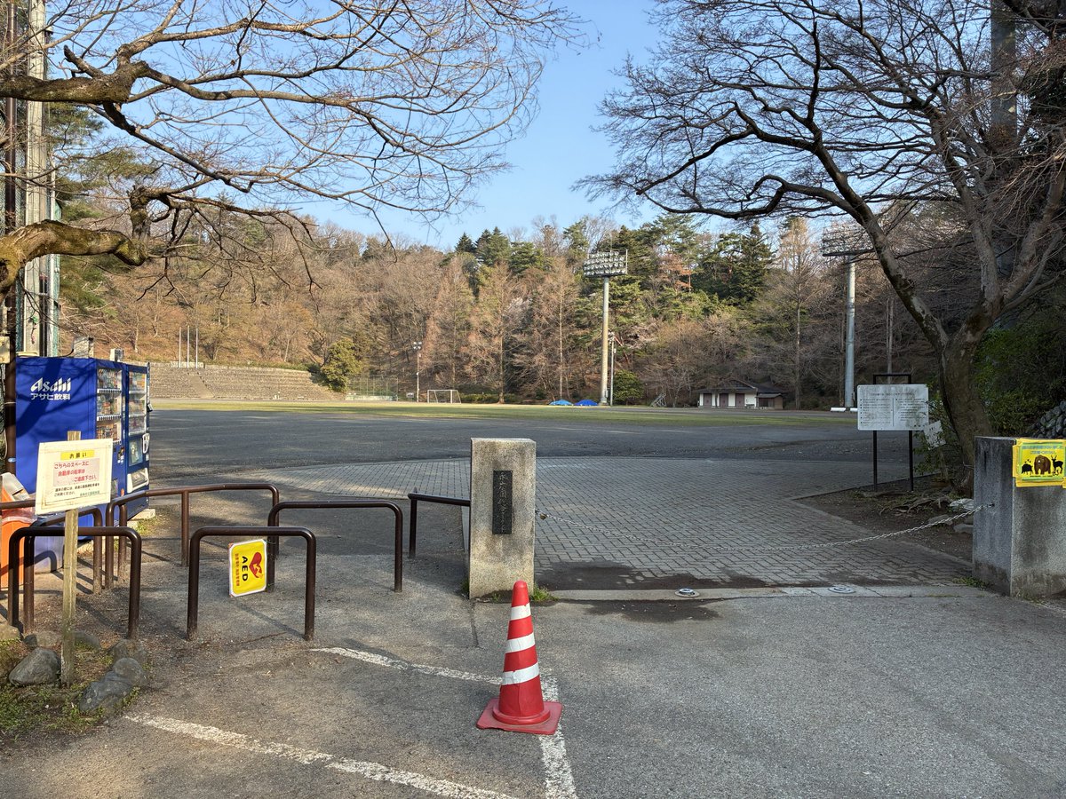 うさぎのようなもの tweet media