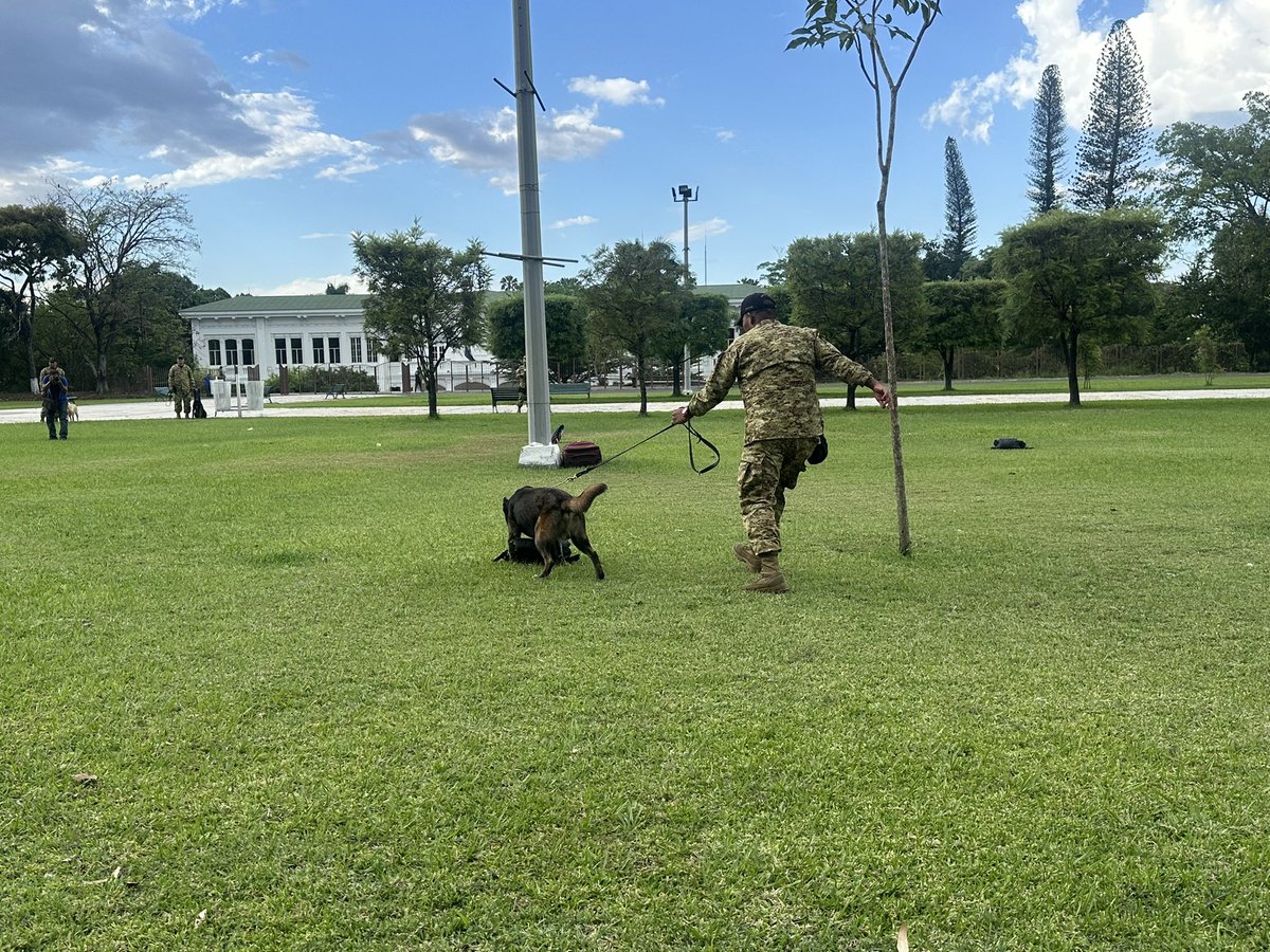 museomilitaresa's tweet image. 🐾 Destrezas caninas activadas 🐕‍🦺💪
Disciplina, agilidad y trabajo en equipo en cada demostración.

📍 Visítanos en el Museo Militar

#DestrezasCaninas #MuseoMilitar #FuerzaArmada #ElSalvador