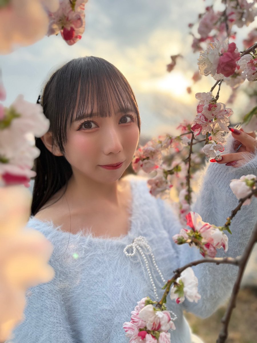 瀬戸栞 tweet media