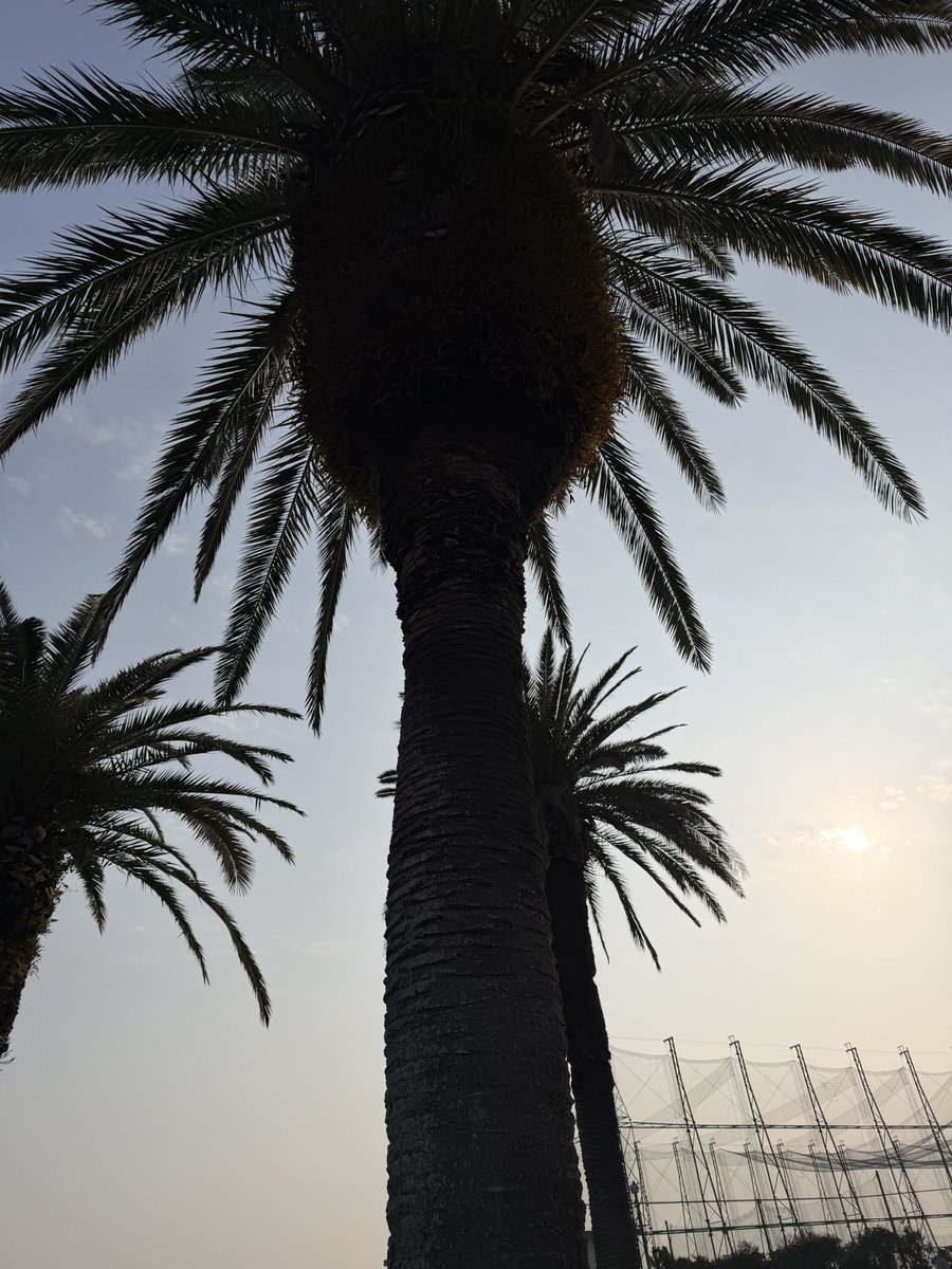 あわじ＠レザボア24回払い tweet media