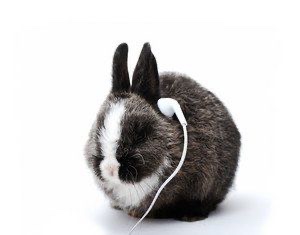 Bunny McCoy tweet media