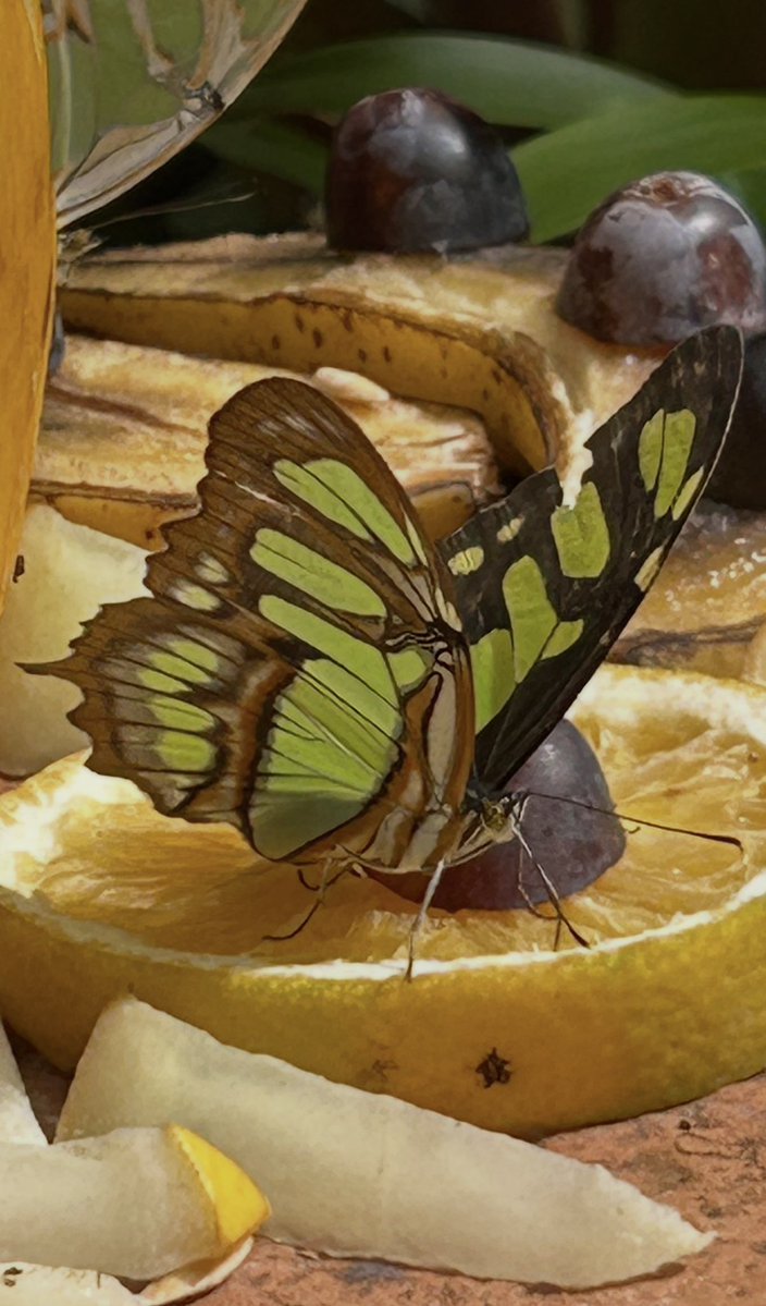 Bastien 🛫 tweet media