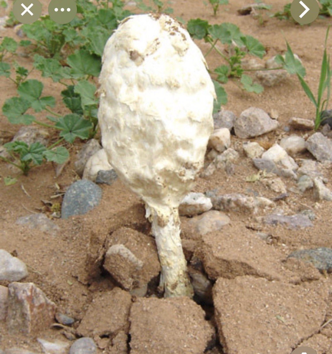 ‏ • ﮼حسن الشهري﮼ • tweet media