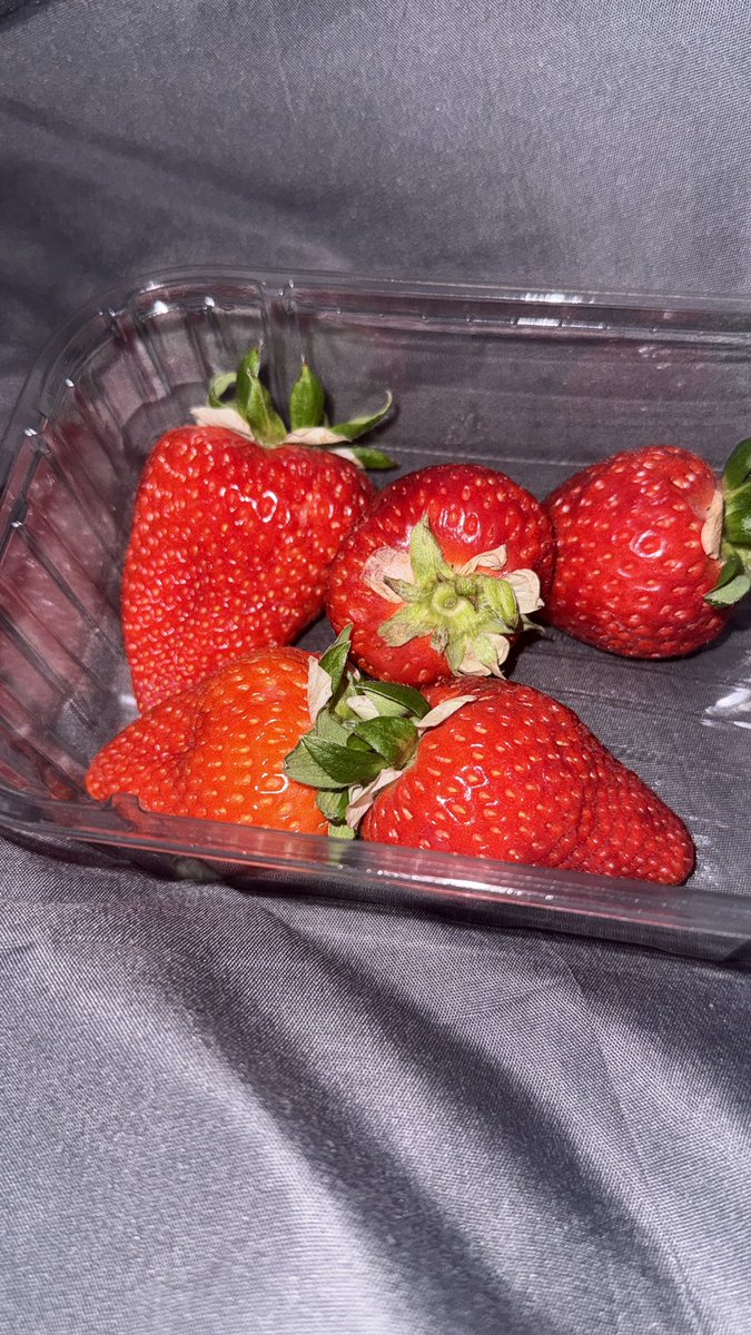 Billy 🦐 tweet media