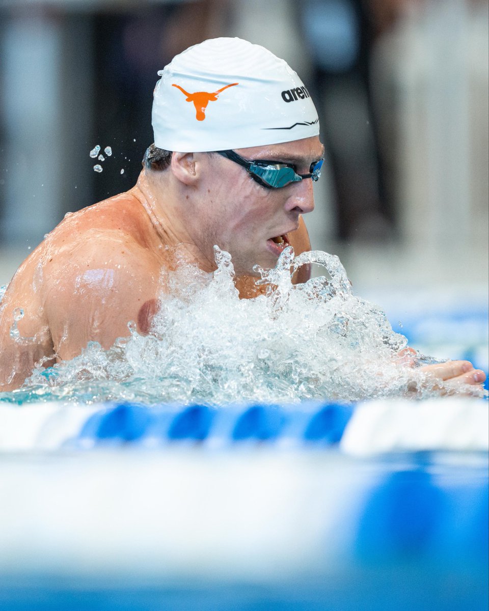 Texas Men's Swimming & Diving tweet media