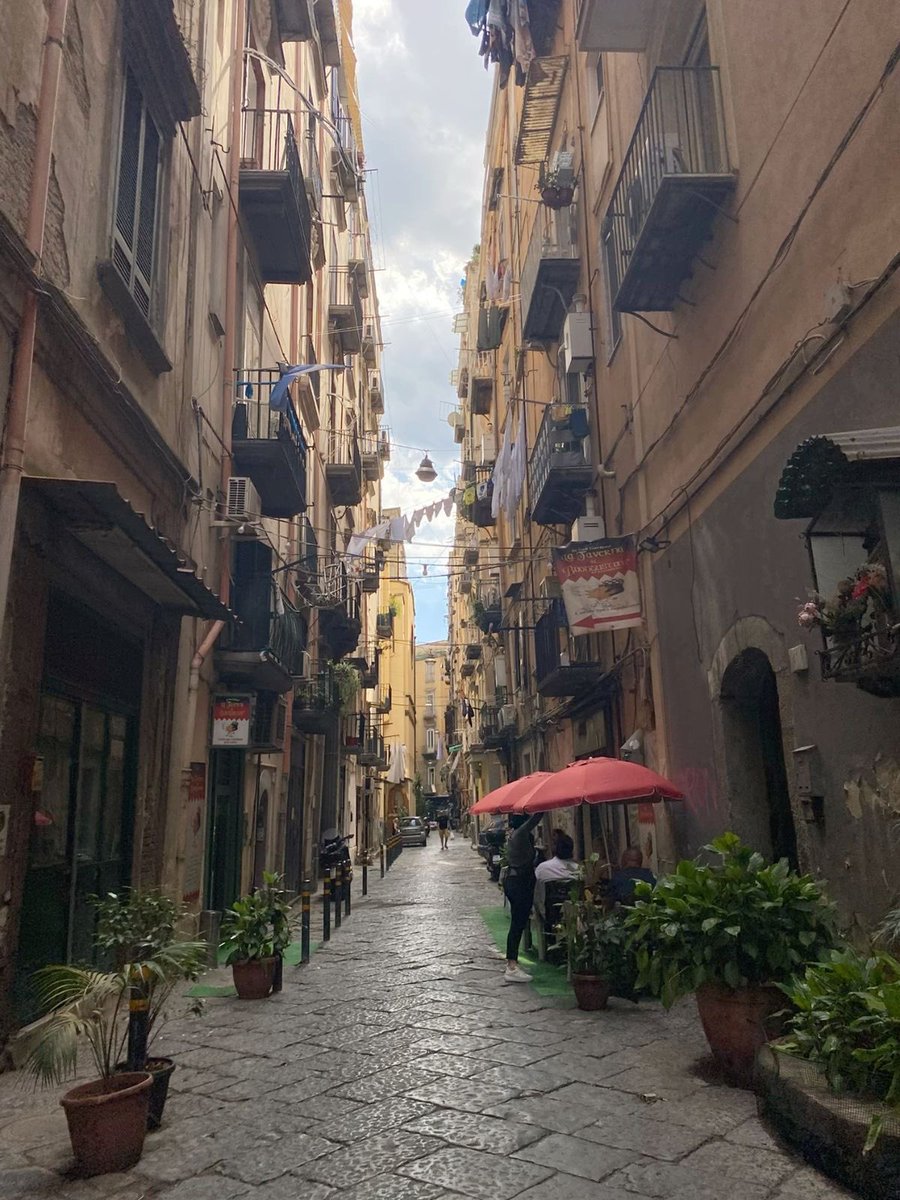 fevereiro tweet media