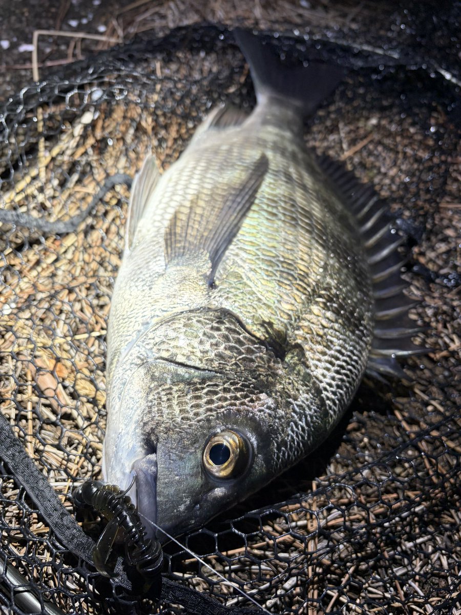 ogatyunity tweet media