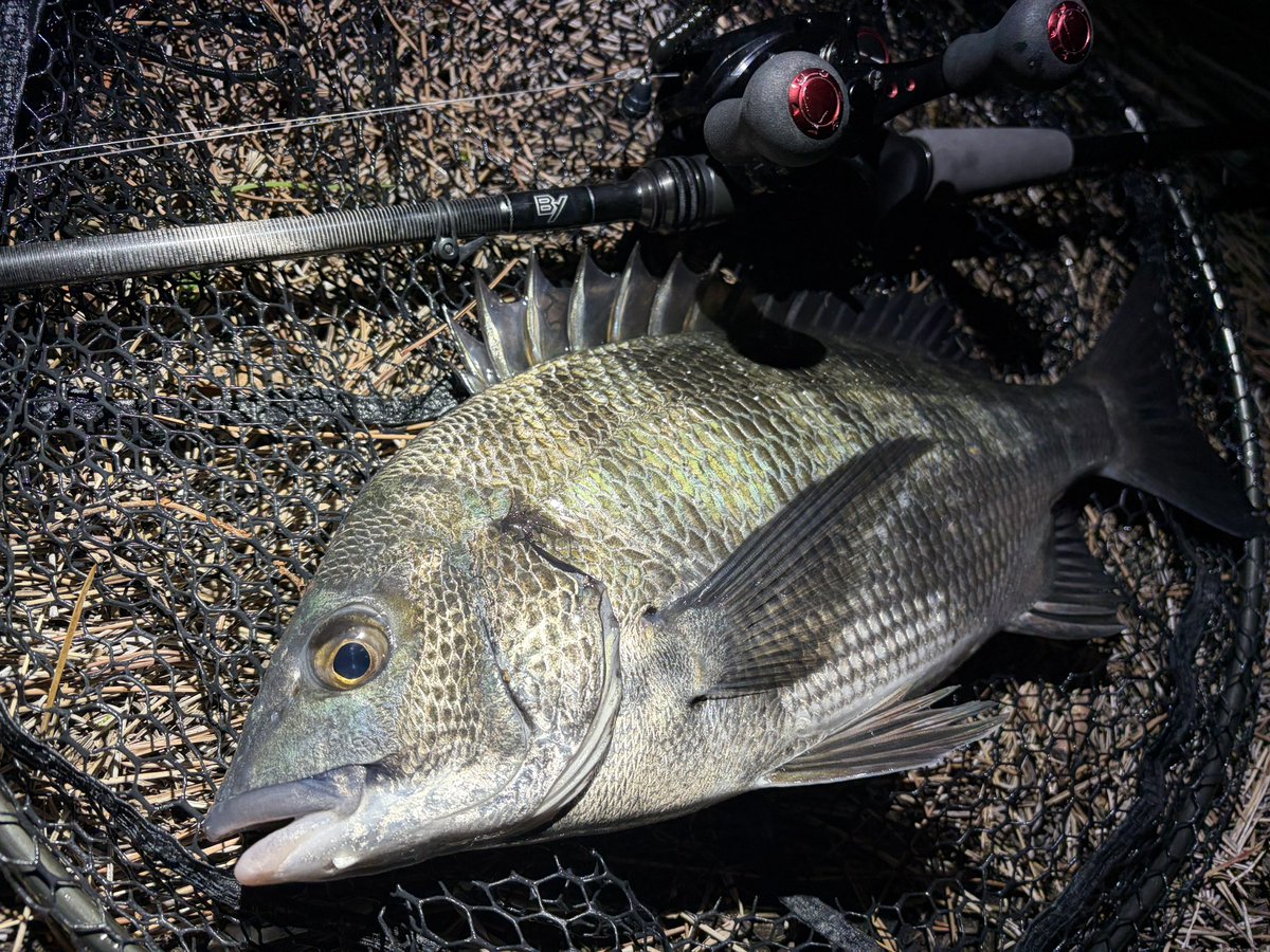 ogatyunity tweet media