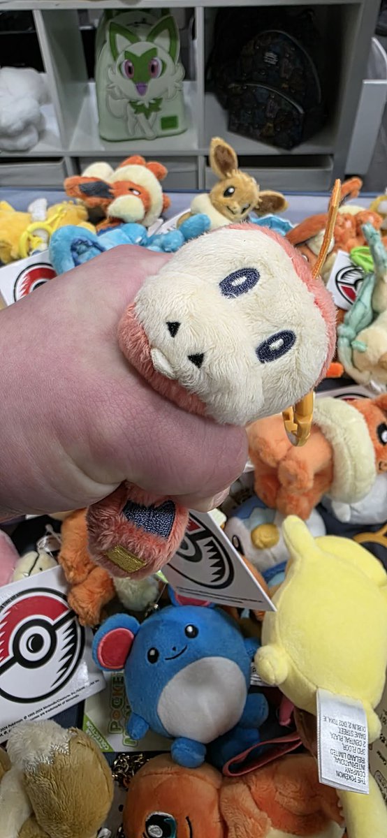 HeldPokePlush's tweet photo. https://t.co/zvhMUVUF8J