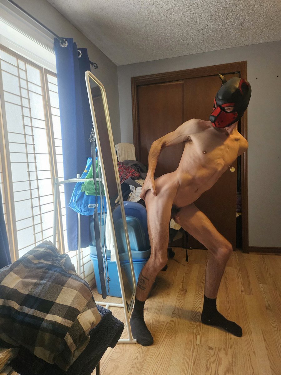 ApolloANDAdonis tweet media