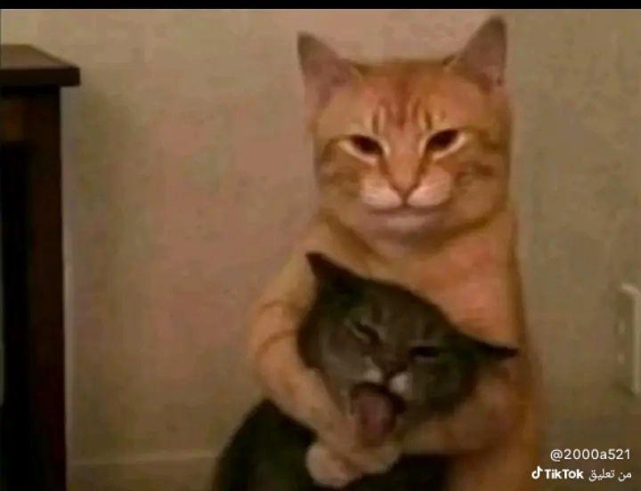 FayMay Pics 📸 tweet media