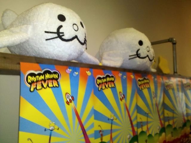 ♡ anya ♡ tweet media