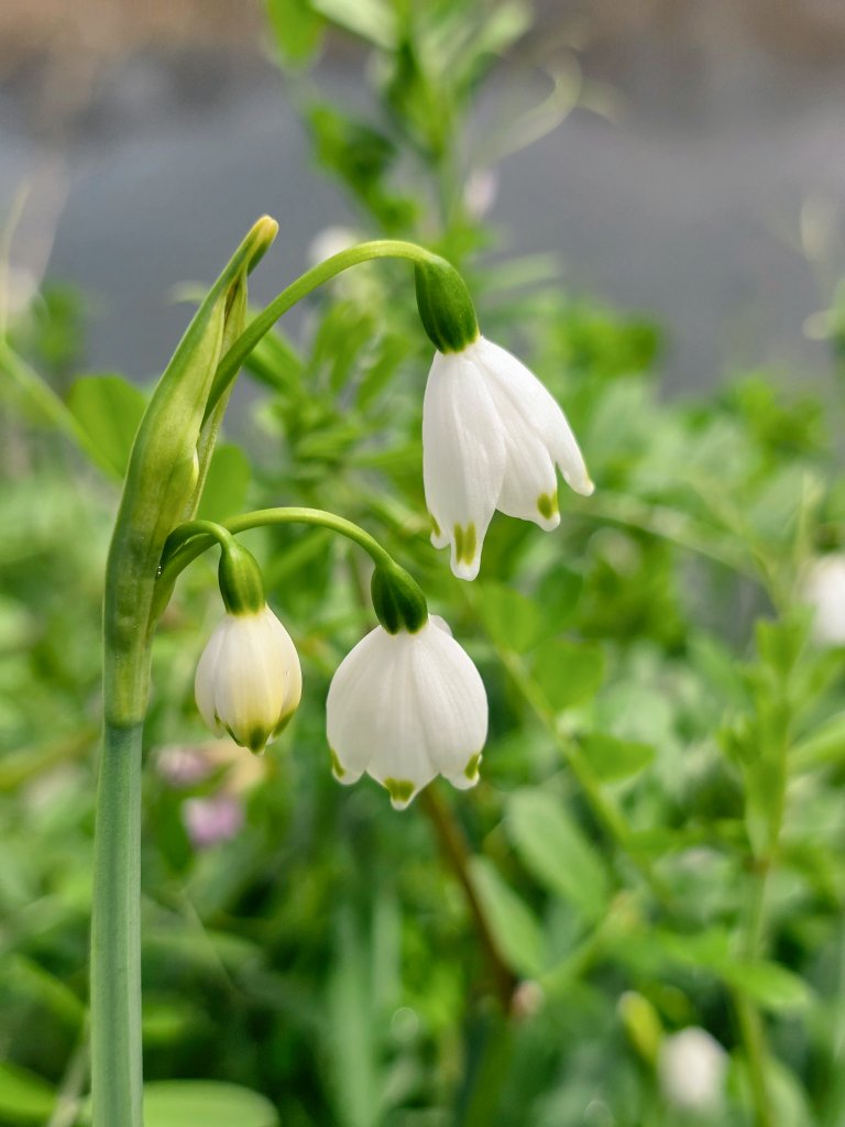 さとみん✿︎ tweet media