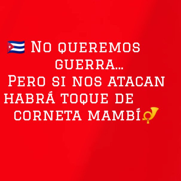 MildreyQuintana tweet media