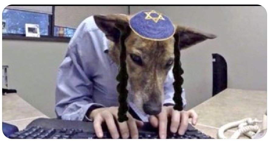 ص. مُتَرَصِد ☫ tweet media