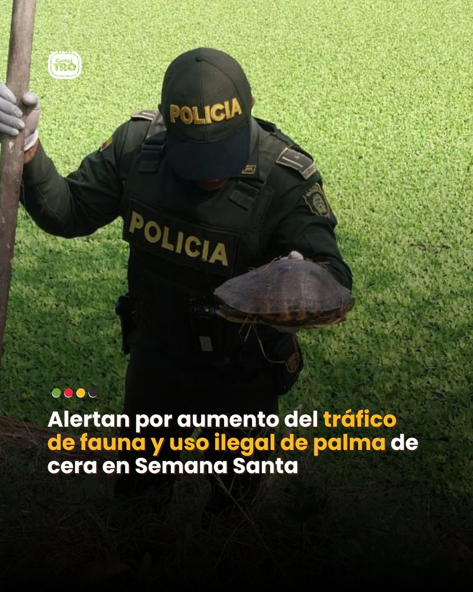 Canal TRO tweet media