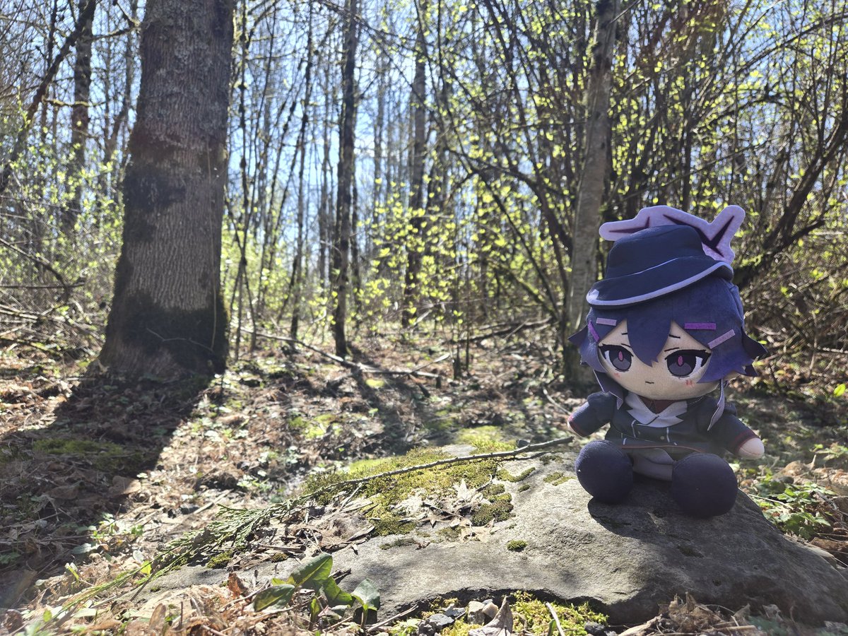 Redleaf 🍂 tweet media