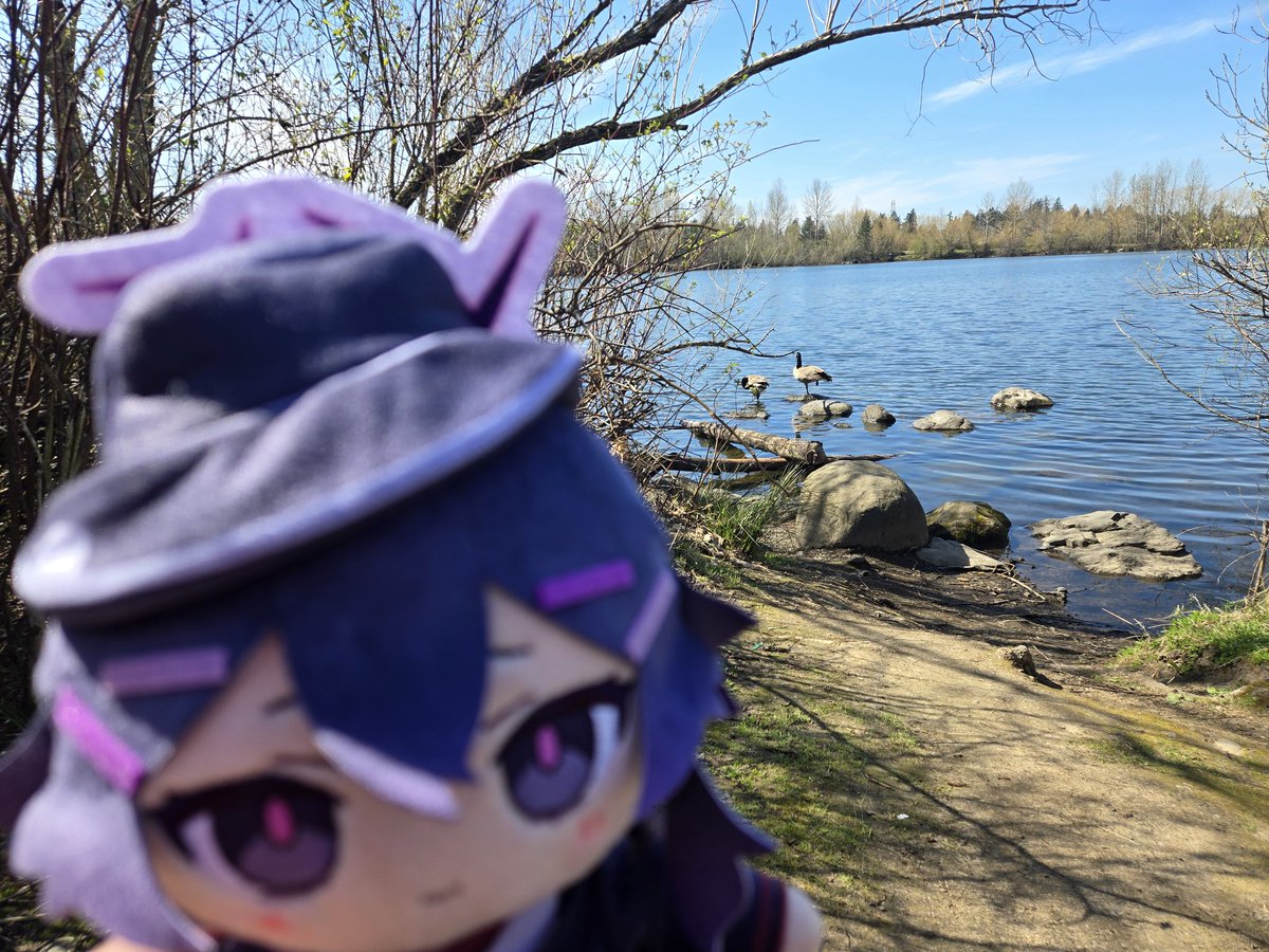 Redleaf 🍂 tweet media