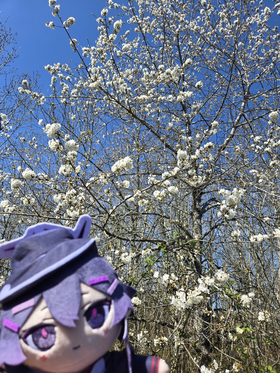 Redleaf 🍂 tweet media