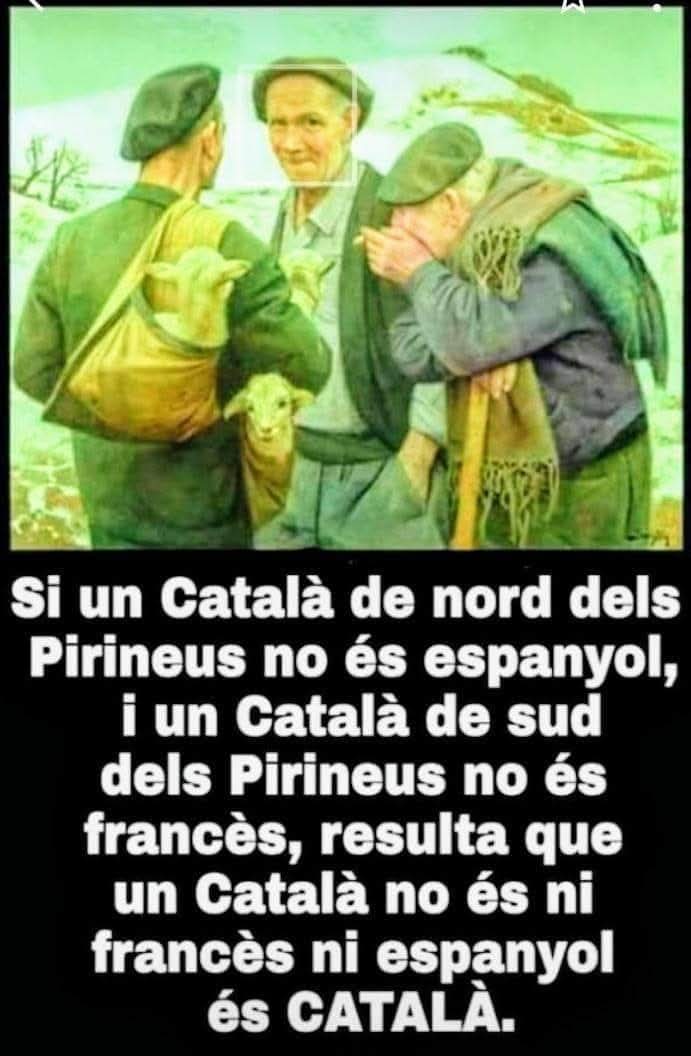 Albert Sant Esteve tweet media