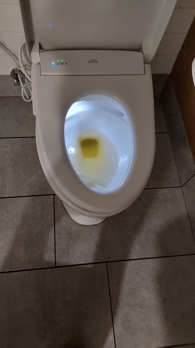 I couldn't hold it an peed in this nice toilet