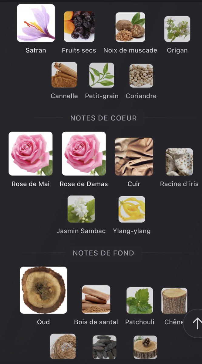 tomscent 🇵🇹 tweet media