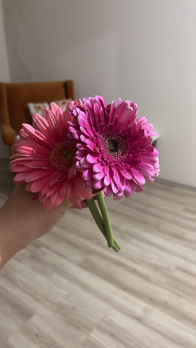 Sermincbn's tweet photo. Çiçeklendim 🌸 https://t.co/3NVlp1i5Is