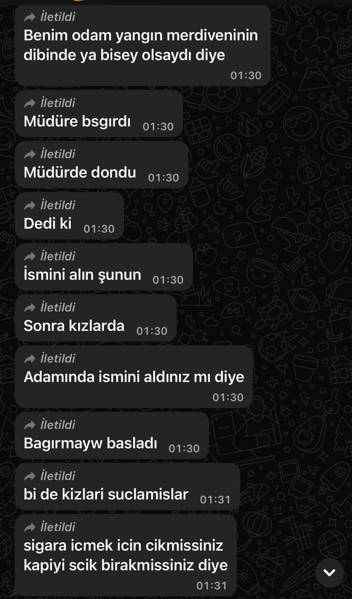 kayisi kiyarustemi tweet media