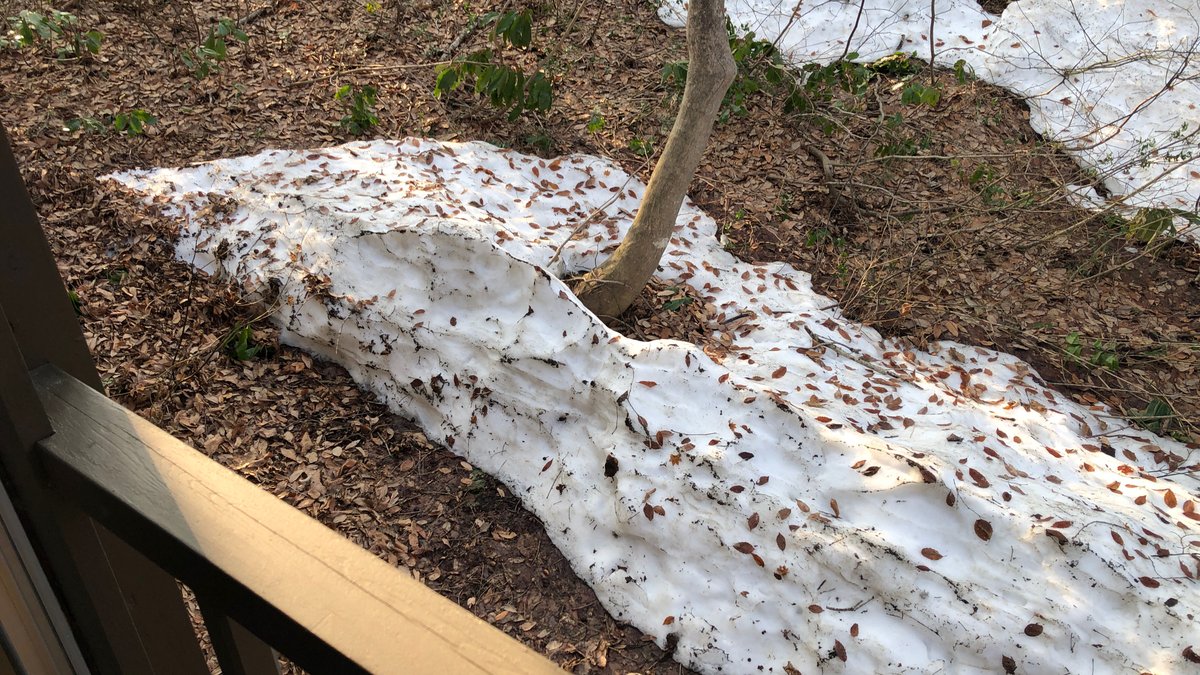 気象予報士Kasayan 番外編！ tweet media