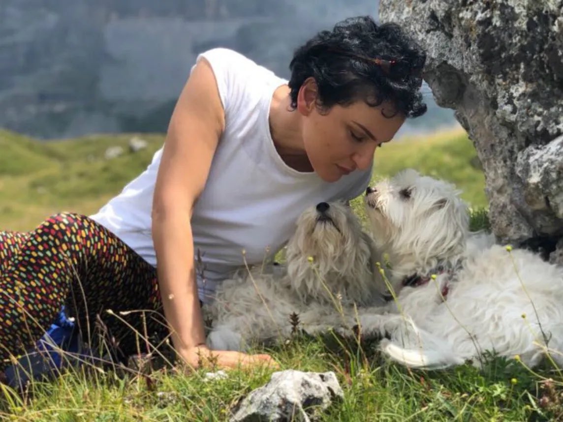 Cinguetterai tweet media