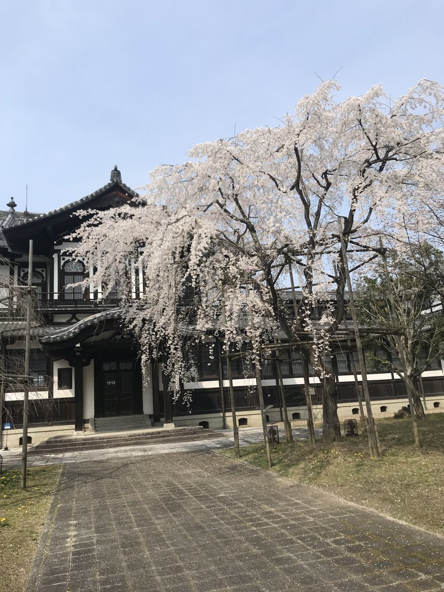 jackmcjp79 tweet media