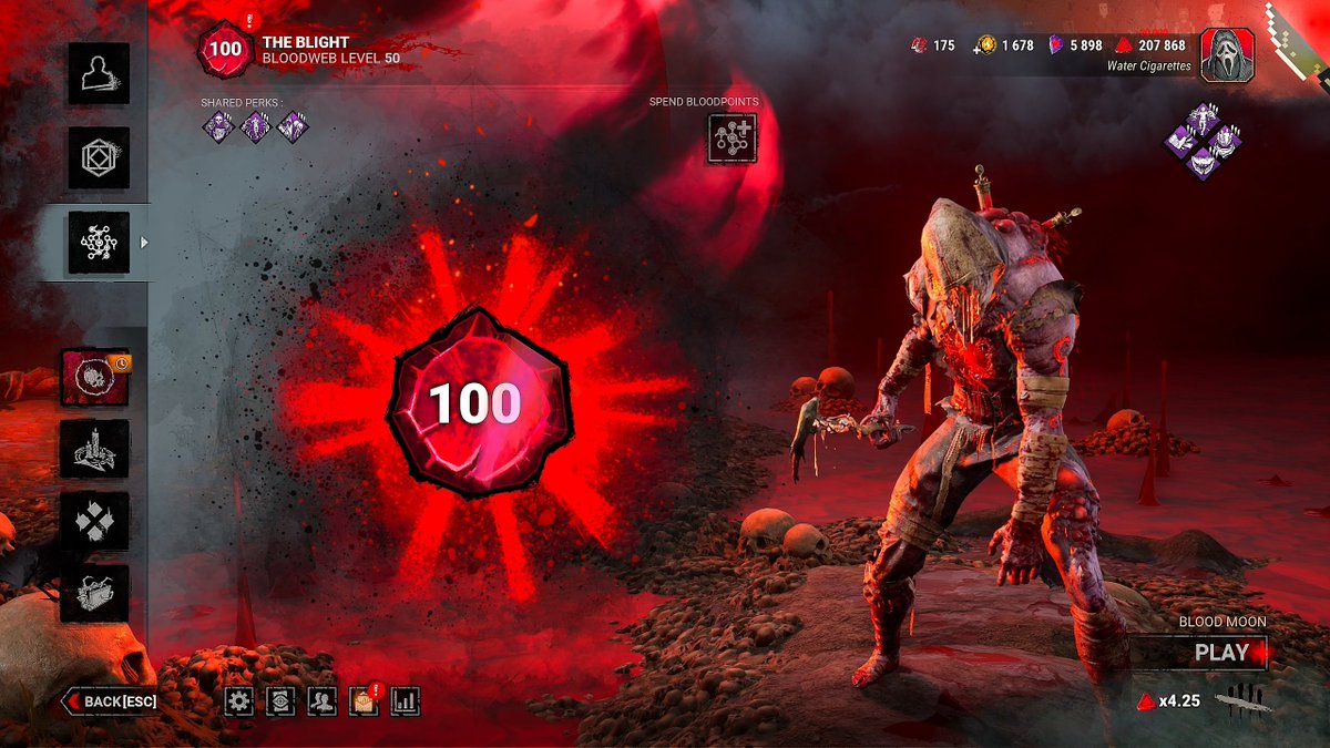 4 flowers tweet media