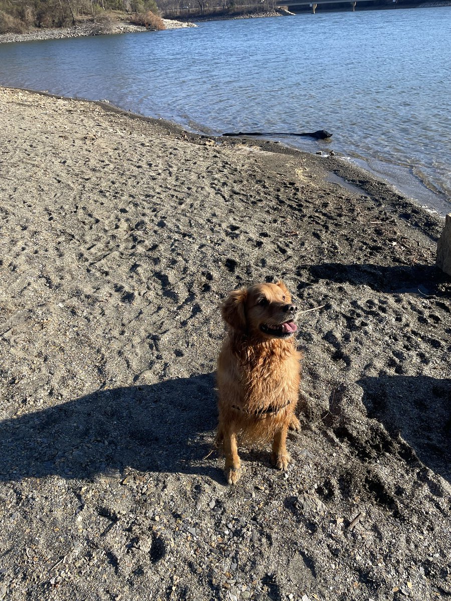 Burjackt 🇺🇸 tweet media