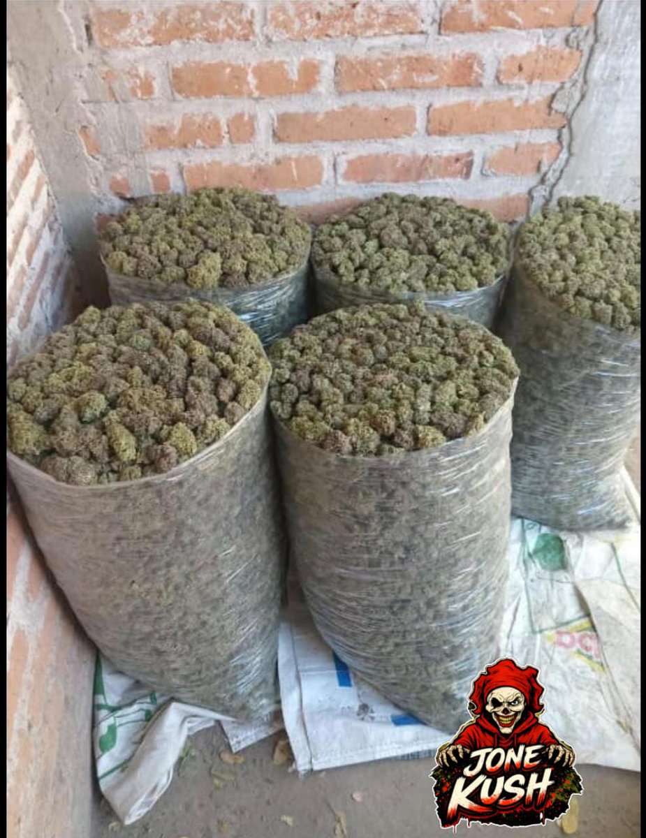 Solo hoy y Mañana ✌🏻
Kiwis Outdoor Premium 
2500 ✅
+52 33 1877 1283 📱