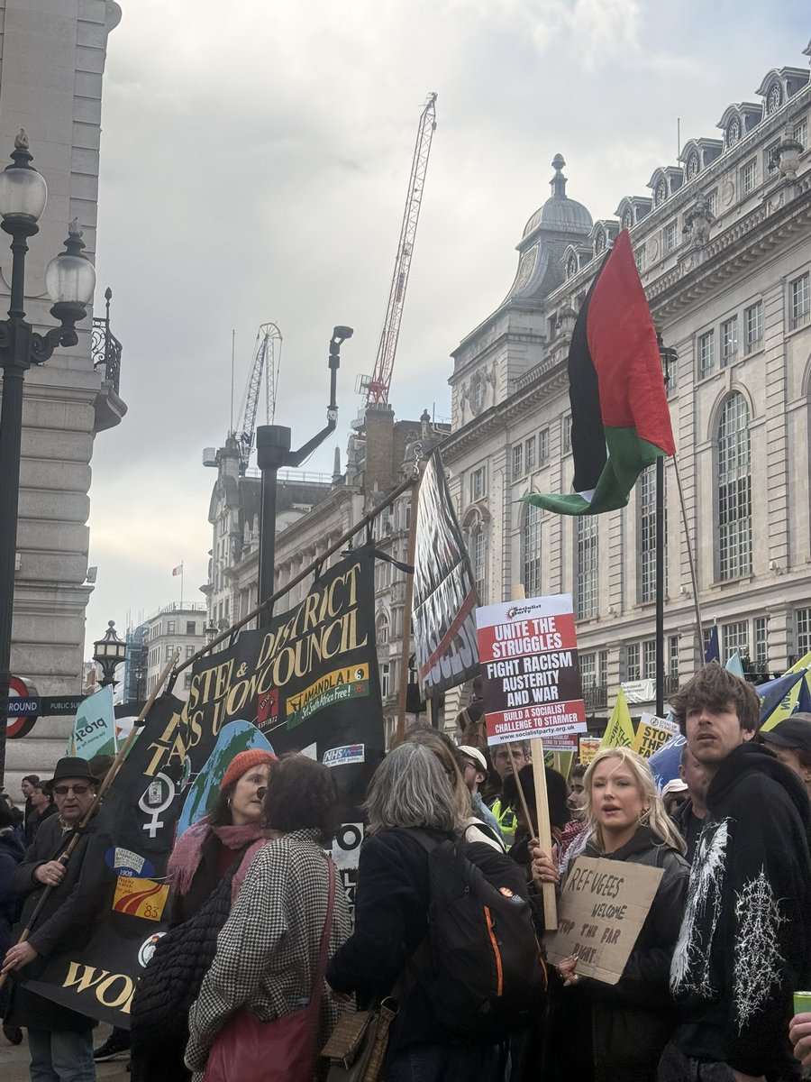 PaolaGallo 📢 tweet media