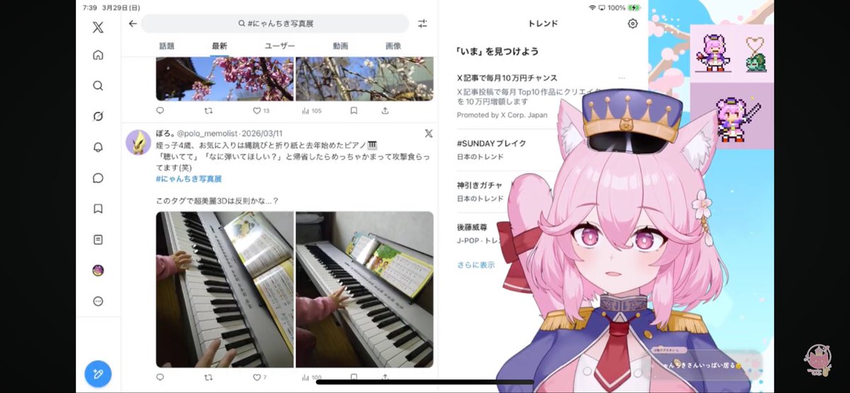 マットレイ tweet media