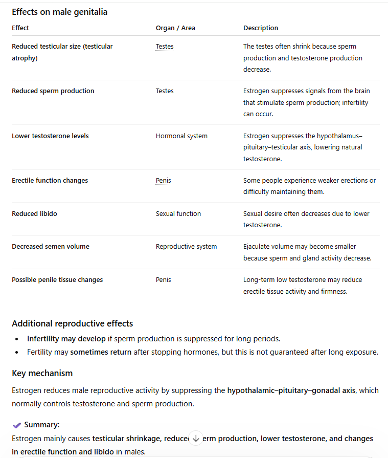 Monika Katarinčič tweet media
